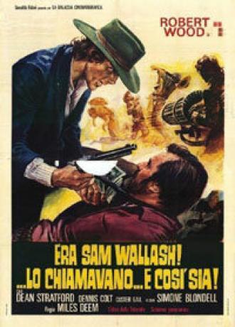 Зовите меня Сэм Уолш (фильм 1971)