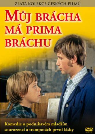 У моего брата отличный братишка (фильм 1975)