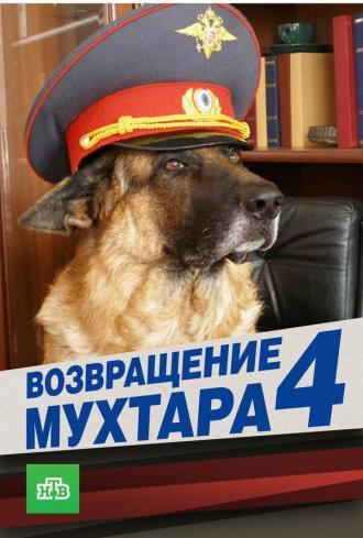 Возвращение Мухтара 4 (сериал 2007)