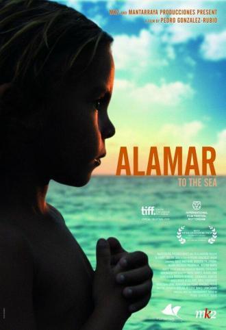 К морю (фильм 2009)