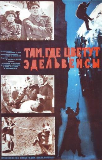 Там, где цветут эдельвейсы (фильм 1965)