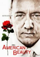 Красота по-американски (1999)