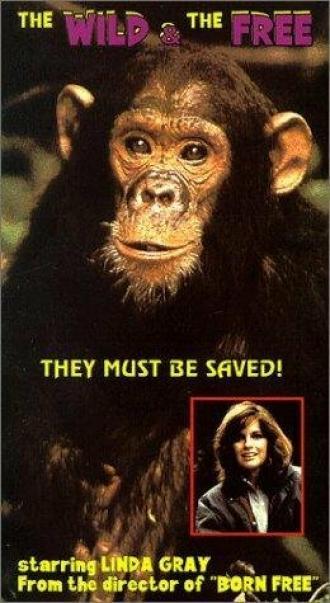 The Wild and the Free (фильм 1980)