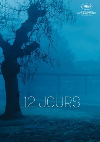 12 дней (фильм 2017)