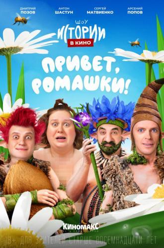 Истории в кино: Привет, ромашки! (фильм 2022)