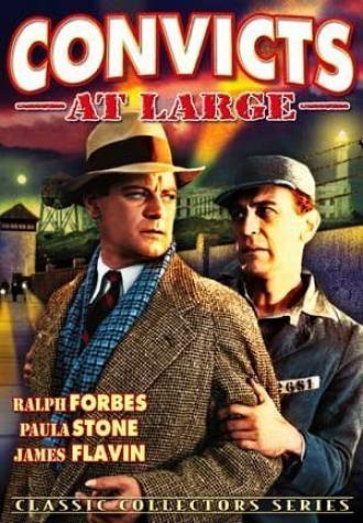 Convicts at Large (фильм 1938)