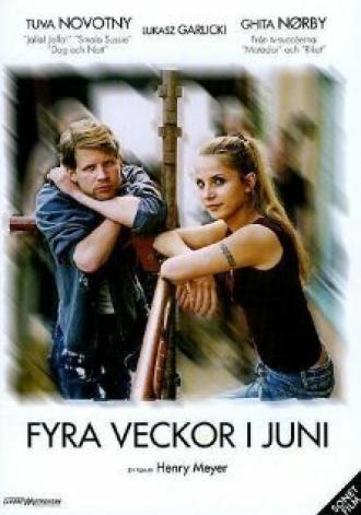 Четыре недели в июне (фильм 2005)