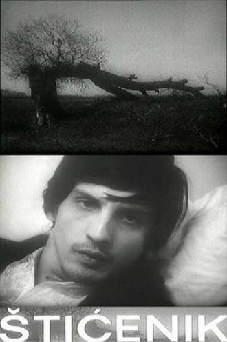 Подопечный (фильм 1973)