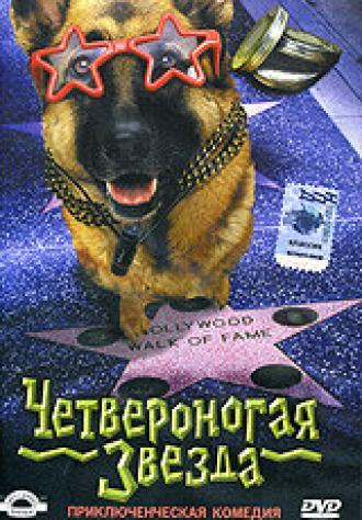 Четвероногая звезда (фильм 2002)