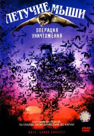 Летучие мыши: Операция уничтожения (фильм 2007)