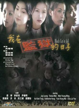 Чёрная кошка 3: В тюрьме (фильм 2000)
