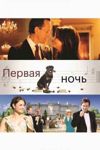 Первая ночь (фильм 2010)