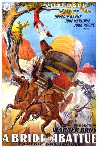 The Tenth Woman (фильм 1924)