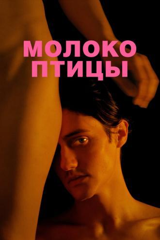 Молоко птицы (фильм 2020)