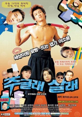 Жить или умереть (фильм 2003)