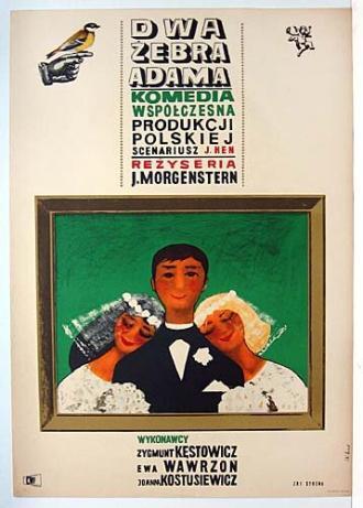 Два ребра Адама (фильм 1963)