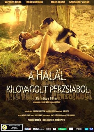 Смертельные трудности в Персии (фильм 2004)