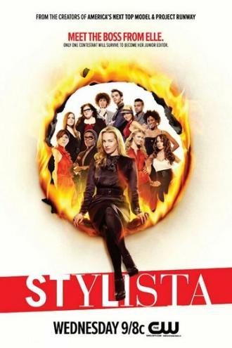Стилистка (сериал 2008)