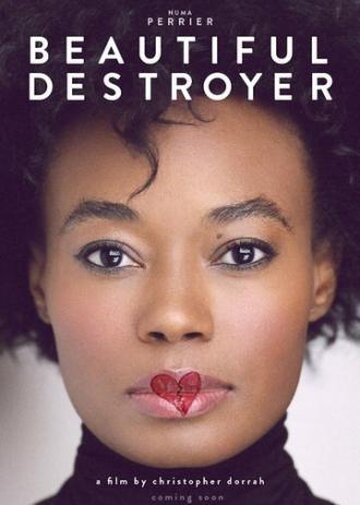 Beautiful Destroyer (фильм 2015)