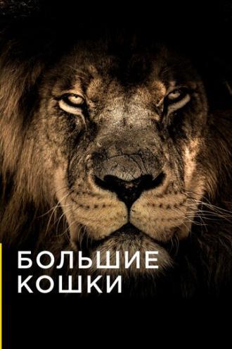 Большие кошки (сериал 2016)