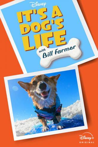 It's A Dog's Life (сериал 2020)
