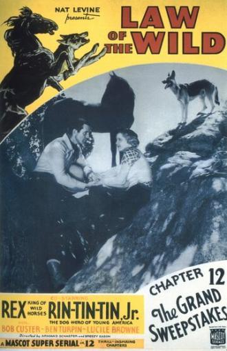 Закон дикой природы (фильм 1934)