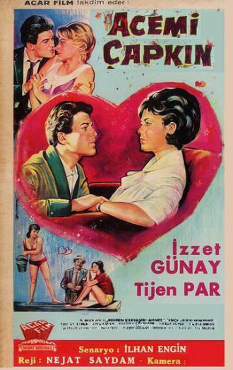 Начинающий распутник (фильм 1964)