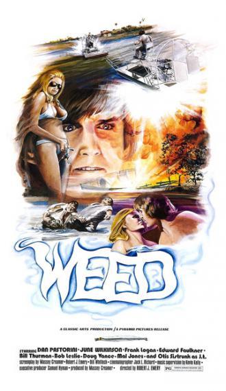 The Florida Connection (фильм 1976)