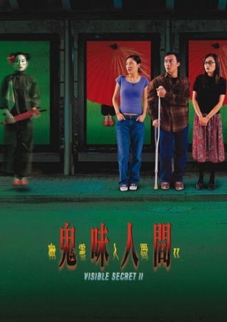 Видимая тайна 2 (фильм 2002)