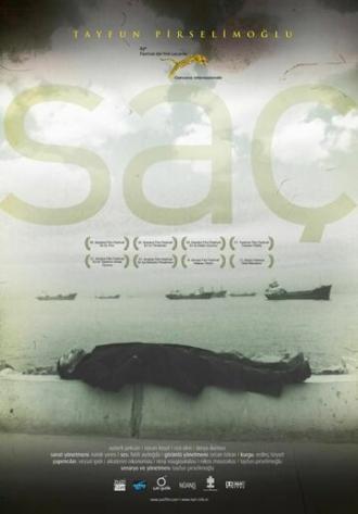 Волосы (фильм 2010)