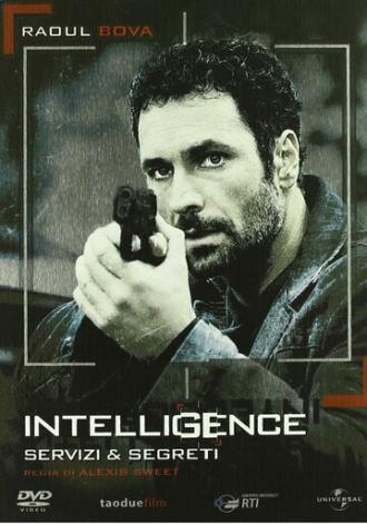 Агентура (сериал 2009)