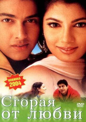 Сгорая от любви (фильм 2002)