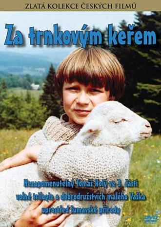 За кустами терновника (фильм 1982)