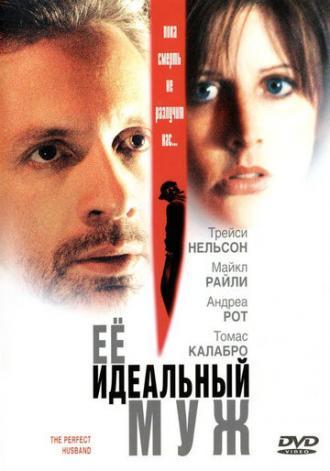 Ее идеальный муж (фильм 2004)