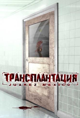 Трансплантация (фильм 2005)