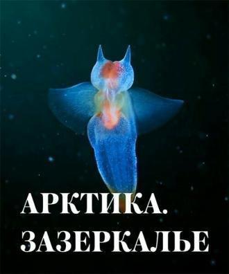 Арктика. Зазеркалье