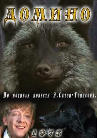 Домино (фильм 1973)