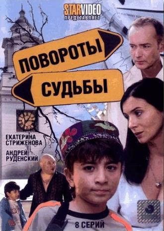 Повороты судьбы (сериал 2007)