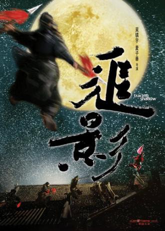 В погоне за тенью (фильм 2009)