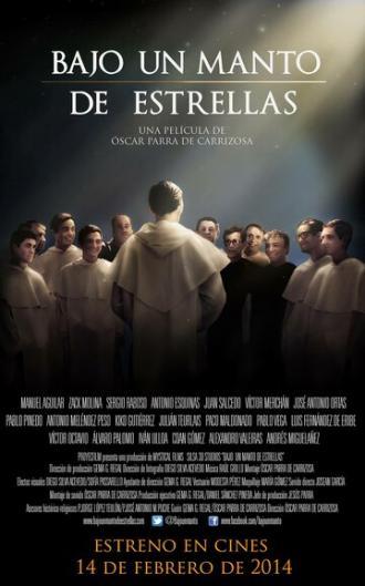 Bajo un manto de estrellas (фильм 2014)