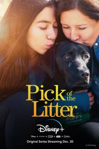 Pick of the Litter (сериал 2019)