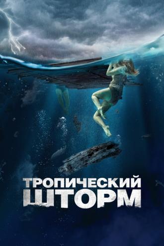 Тропический шторм (фильм 2022)