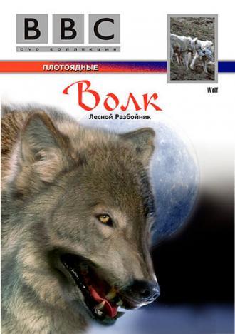 BBC: Волк