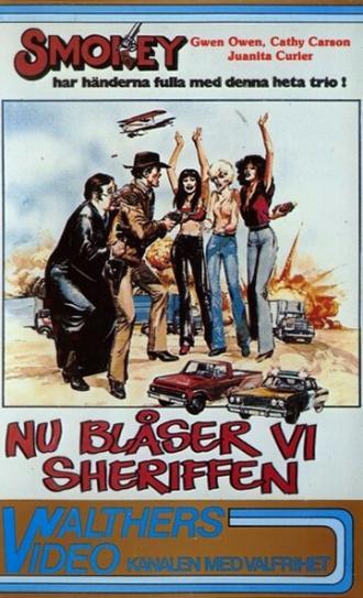Smokey and the Judge (фильм 1980)