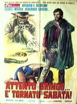 Смотри, гринго — это снова Сабата (фильм 1972)