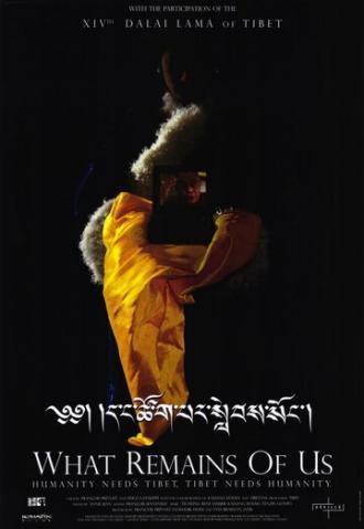 Что от нас осталось (фильм 2004)