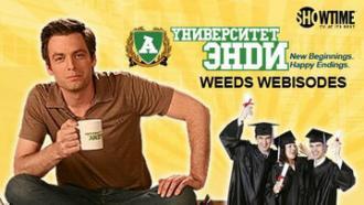 Университет Энди (сериал 2009)