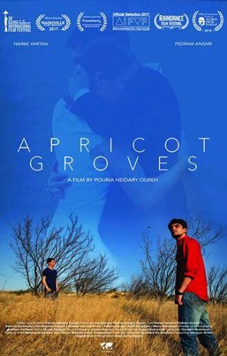 Абрикосовые рощи (фильм 2016)