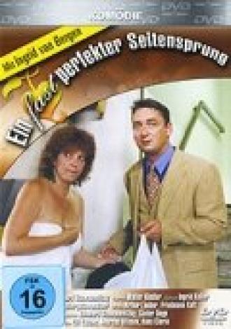 Ein fast perfekter Seitensprung (фильм 1996)