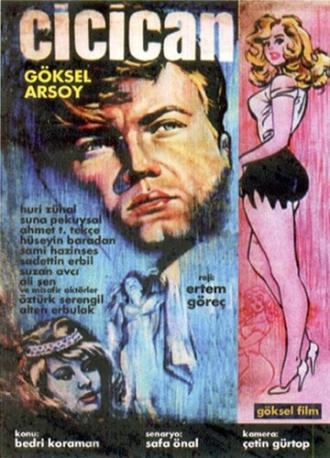 Cici Can (фильм 1963)